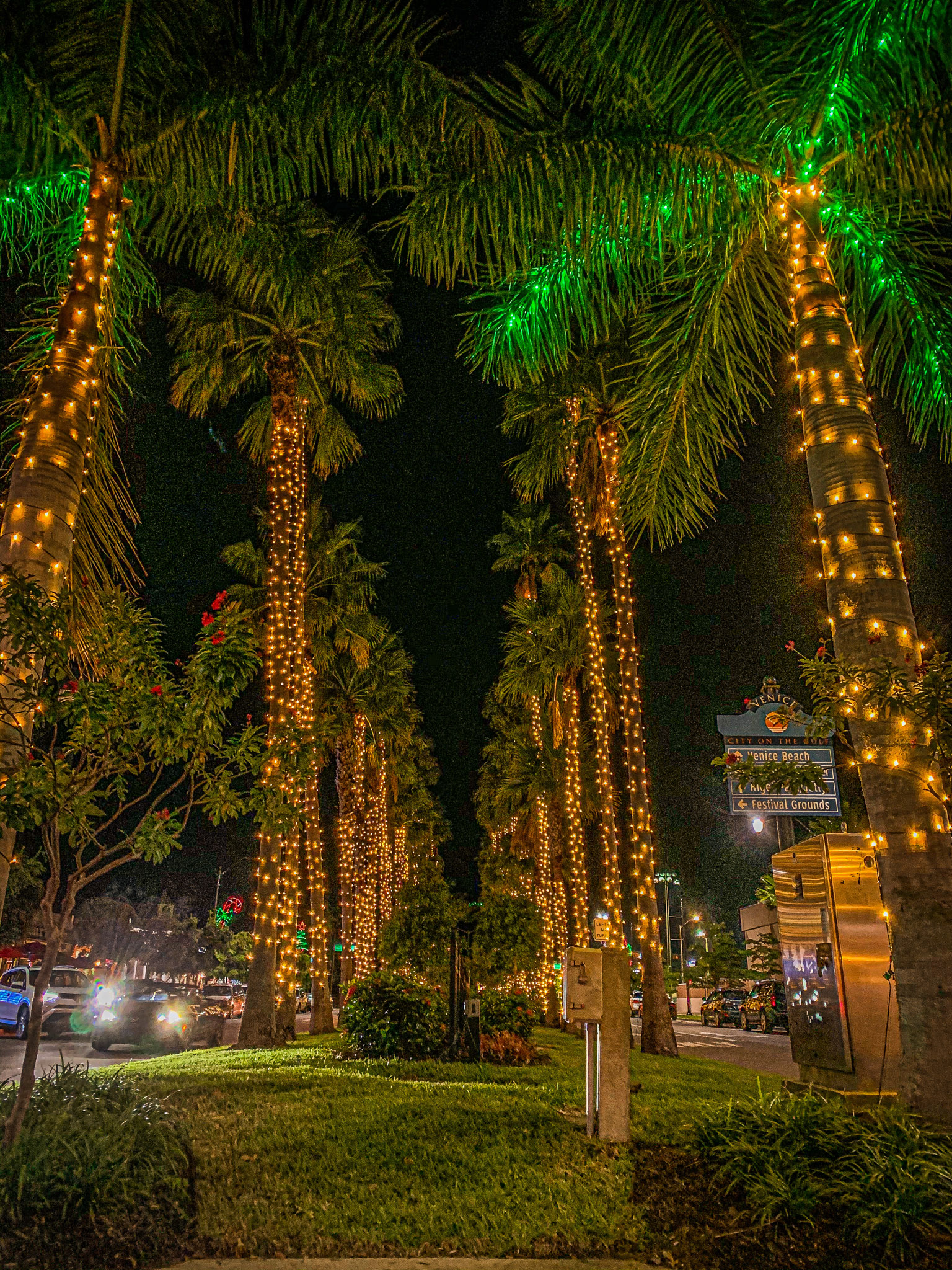 5 Can’tMiss Activities to Do on Venice Island This 2022 Holiday Season